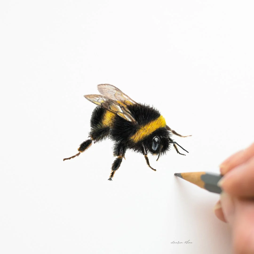 آموزش کشیدن زنبور عسل با مداد رنگی | کلاس مبتدی عالی