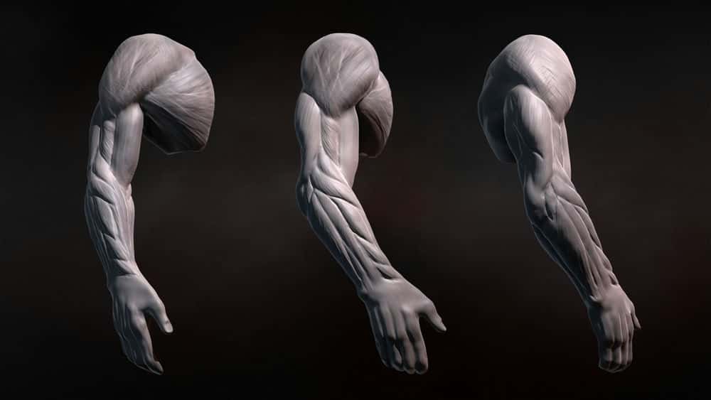 آموزش مجسمه سازی بازوهای انسانی در ZBrush 