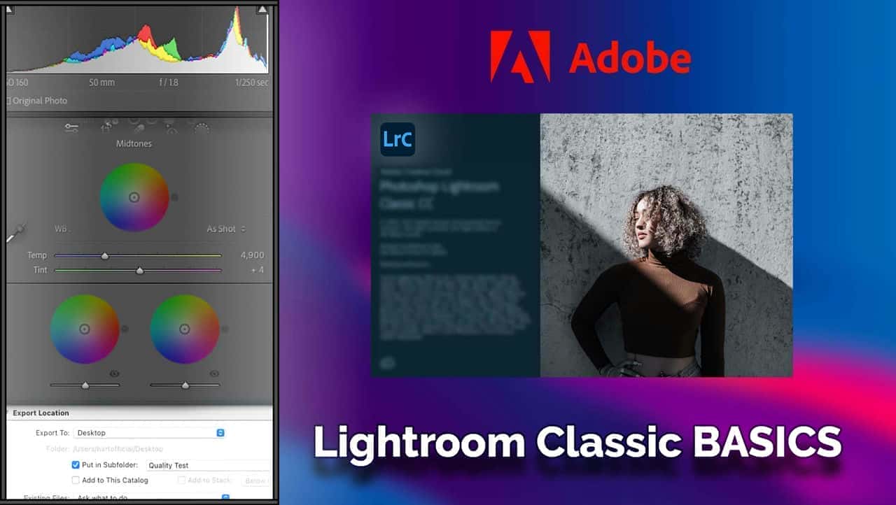 آموزش Adobe Lightroom Classic Essentials را بیاموزید: گردش کار ویرایش عکس را به حداکثر برسانید