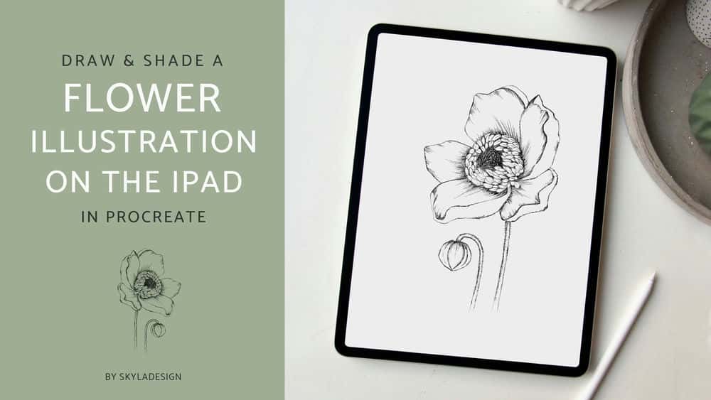 آموزش در Procreate یک گل شقایق را در iPad بکشید و سایه بزنید