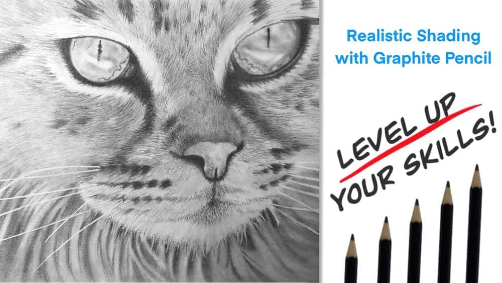 آموزش سایه مداد گرافیت - ایجاد یک گربه واقعی