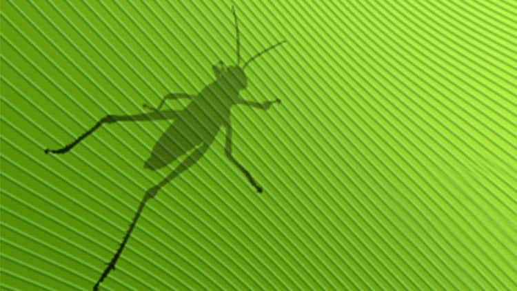آموزش طراحی پارامتریک با Grasshopper کاملا مبتدی تا پیشرفته