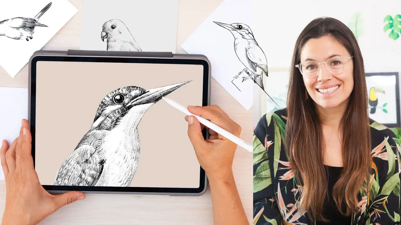 آموزش طراحی پرندگان در نسل: از طرح به استادی