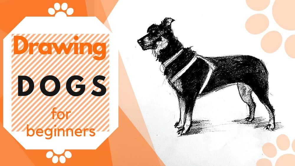آموزش طراحی سگ ها: تکنیک های اساسی برای بهبود تصاویر سگ شما
