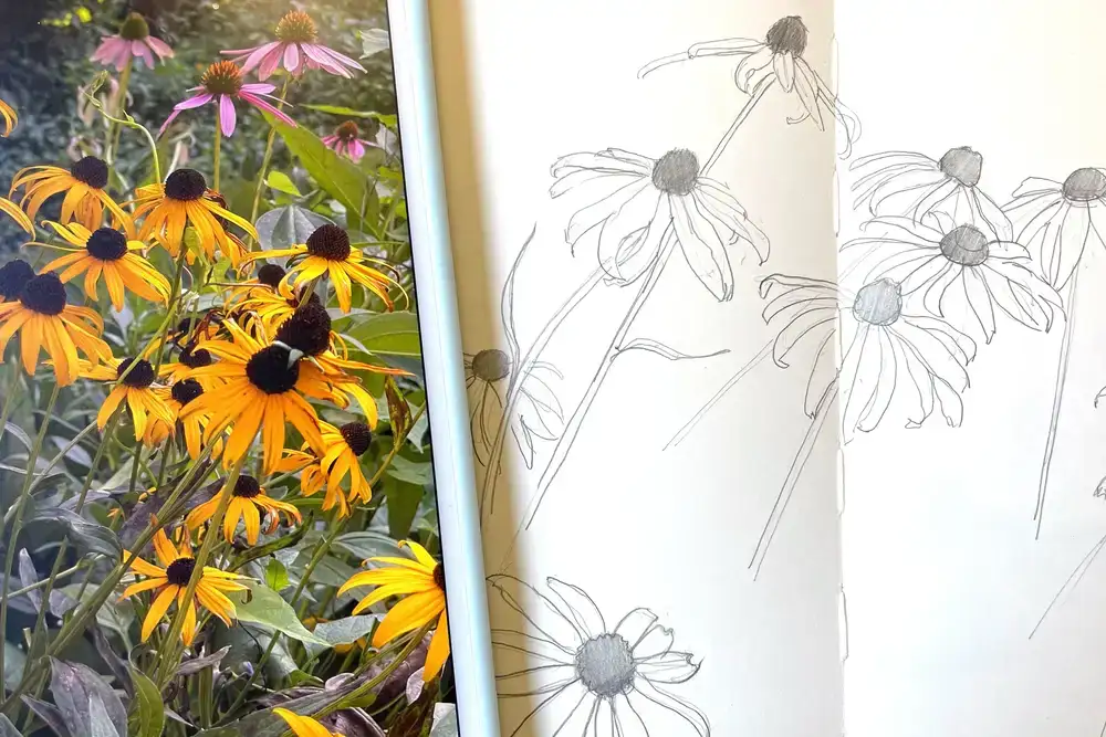 آموزش طراحی گل: استفاده از عکس های آیفون برای کشیدن سوزان چشم سیاه