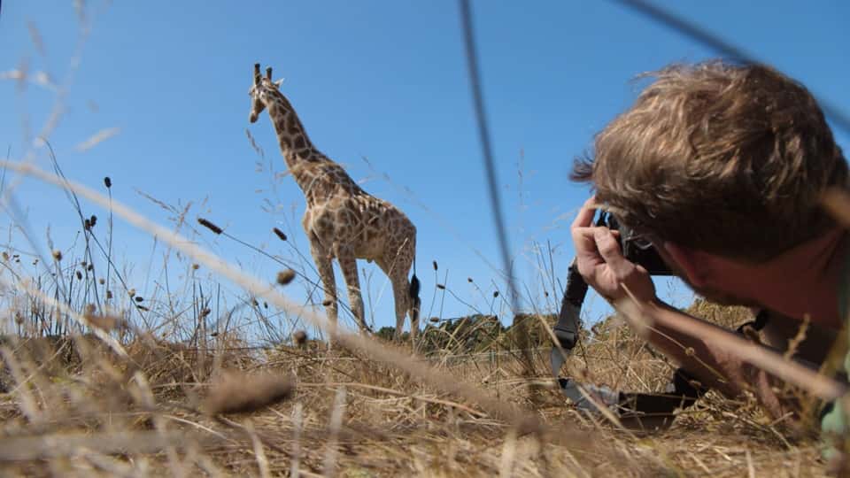 آموزش عکاسی از حیات وحش: حفاظت از طبیعت 