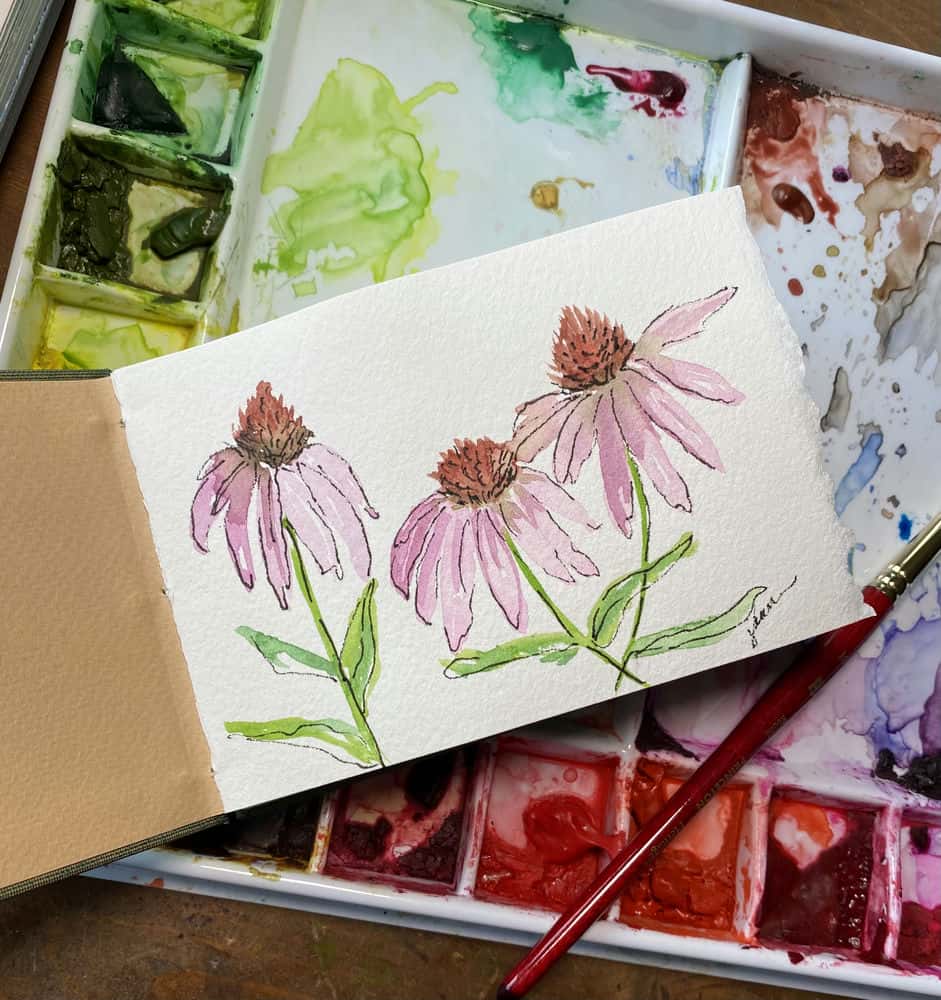 آموزش آبرنگ ژورنال: نقاشی گلها با آبرنگ و جوهر، قسمت 2