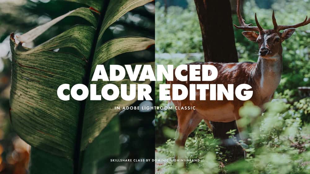 آموزش Adobe Lightroom Classic: گردش کار پیشرفته و نکاتی برای بهبود ویرایش های رنگ شما