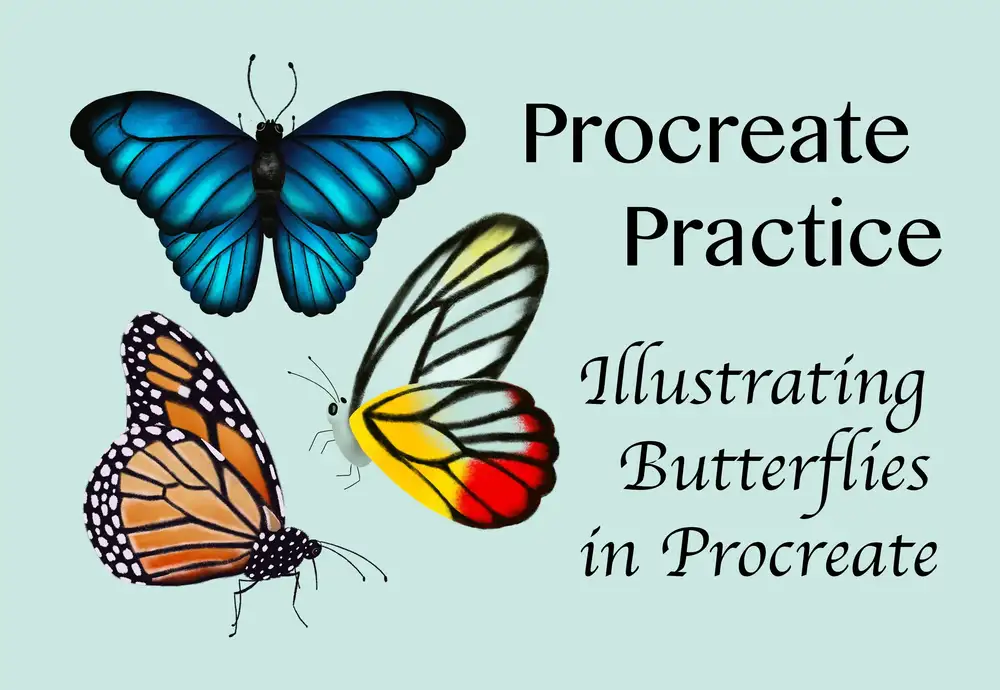 آموزش Procreate Practice: طراحی پروانه ها در Procreate