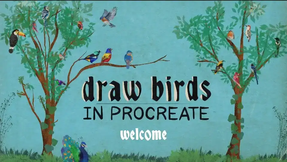 آموزش ترسیم پرندگان در Procreate