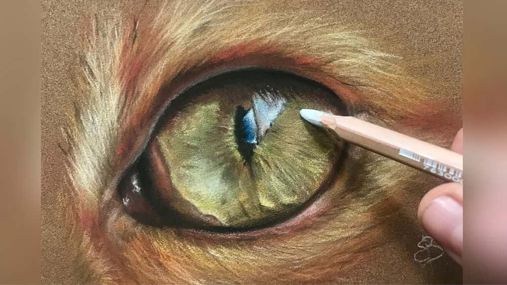 آموزش چشم حیوانات واقعی با مداد پاستلی