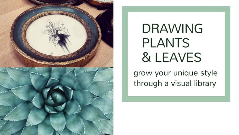 آموزش طراحی گیاهان و برگ ها: سبک منحصر به فرد خود را از طریق یک کتابخانه بصری رشد دهید