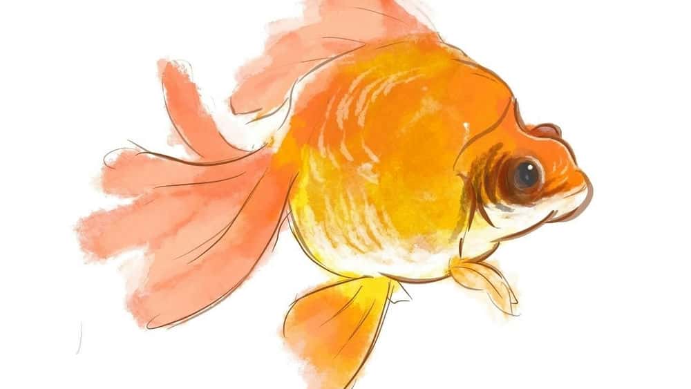 آموزش تولید مثل آسان شد: تصویر دیجیتالی iPad کارتون ماهی طلایی