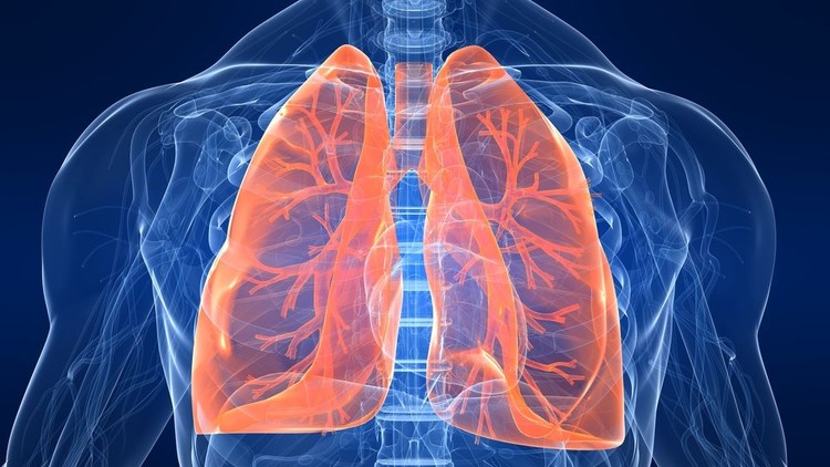 آموزش پزشکی ریه: طب تنفسی و طب سینه