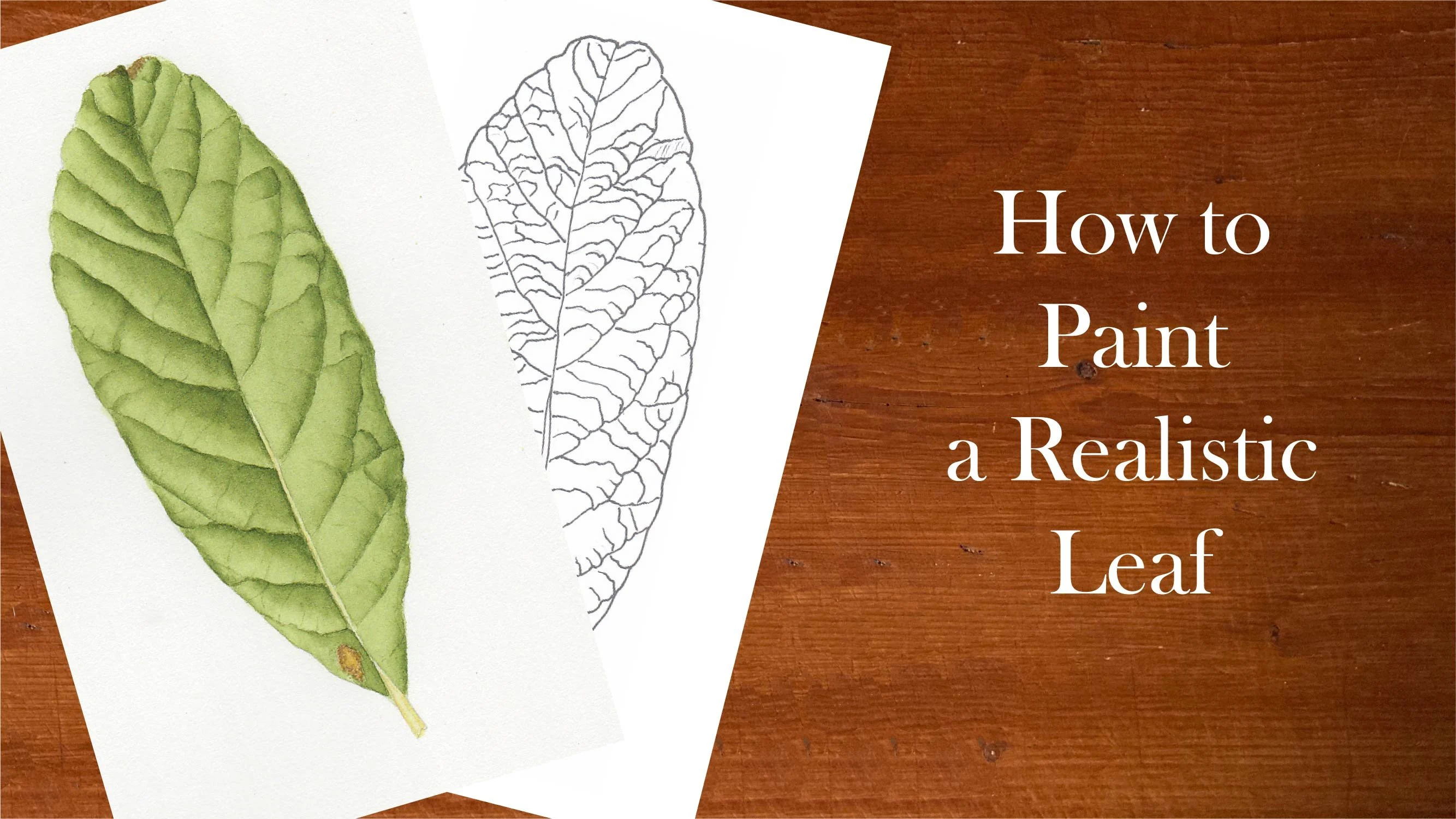 آموزش چگونه یک برگ واقعی را نقاشی کنیم