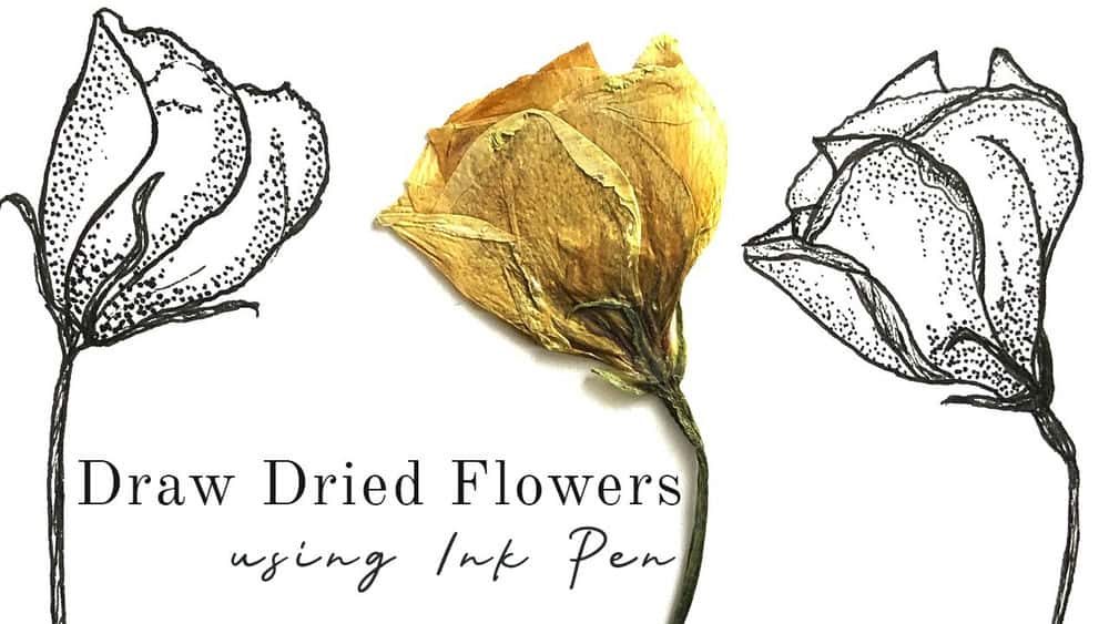 آموزش گل های خشک را با قلم جوهر بکشید