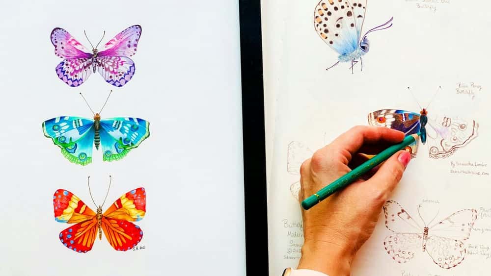 آموزش طبقه بندی مدرن: رنگ آمیزی پروانه های گیاه شناسی