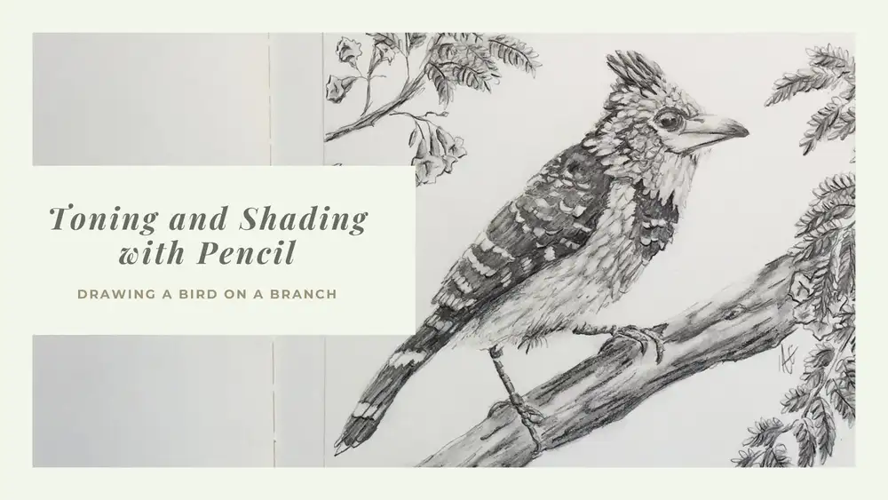آموزش تونینگ و سایه زدن با مداد | نقاشی پرنده روی شاخه