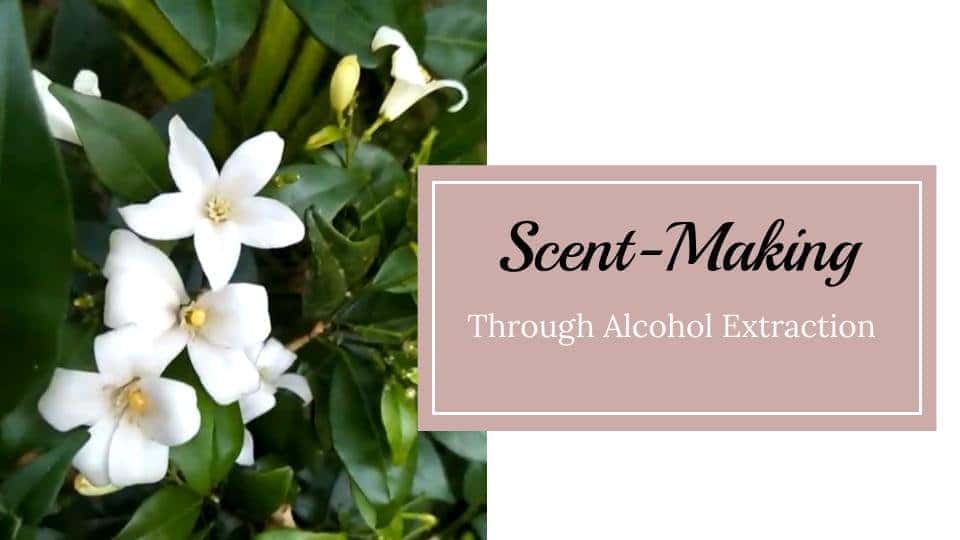 آموزش Scent-Sations: چگونه با استفاده از الکل عطری بسازیم
