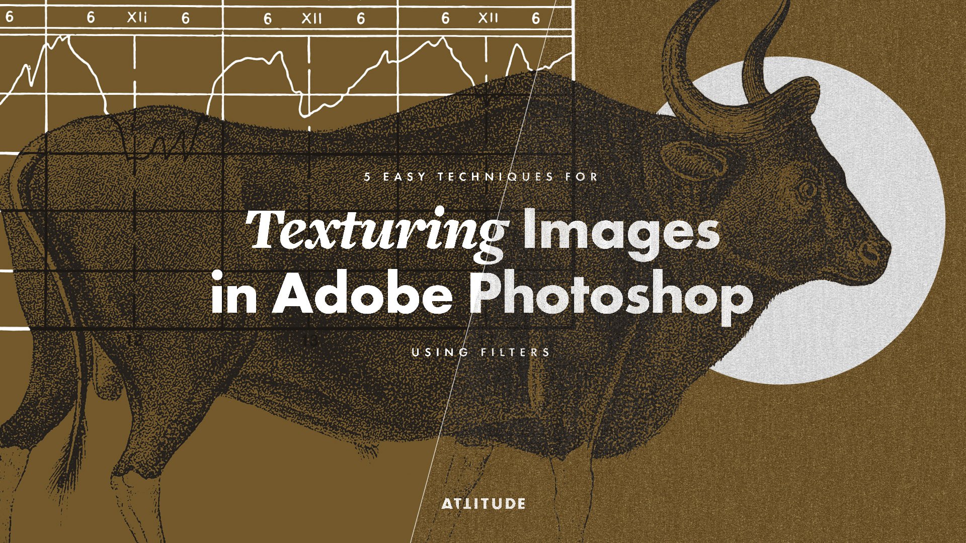 آموزش بافت در Adobe Photoshop: 5 تکنیک آسان با استفاده از فیلترها