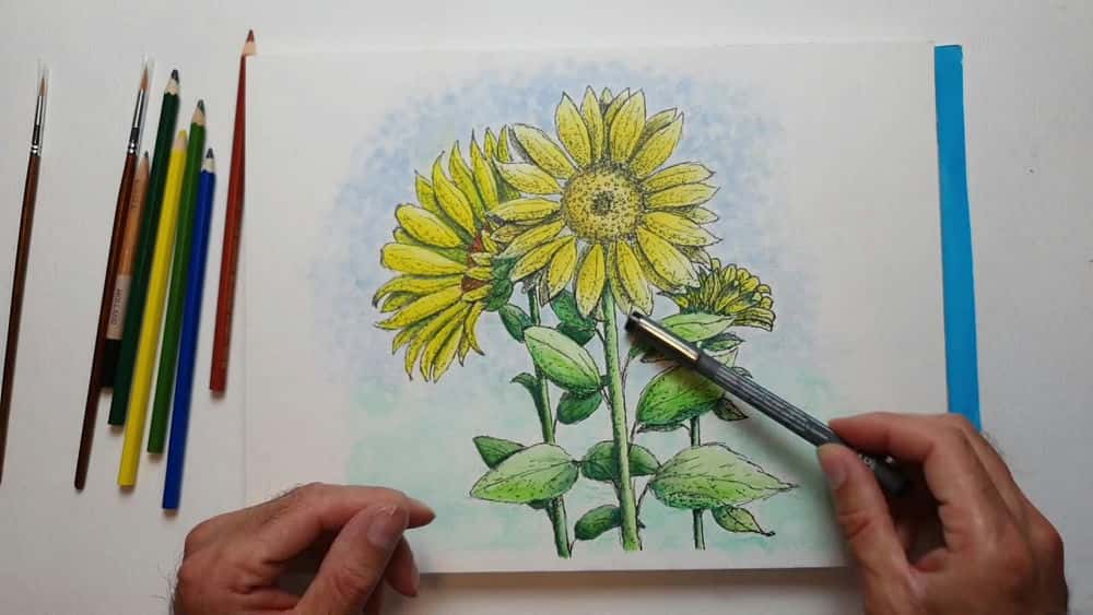 آموزش Sunflower Fun - طراحی و نقاشی یک تصویر گل آفتابگردان با خودکار و مداد آبرنگ