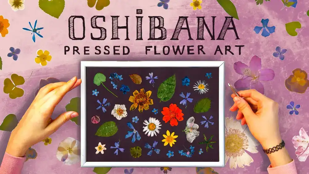 آموزش Oshibana و ایجاد تصویر گل فشرده
