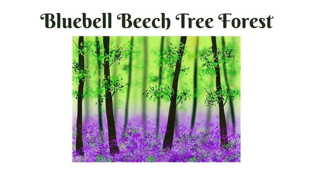 آموزش Procreate Landscape - جنگل درخت راش Bluebell