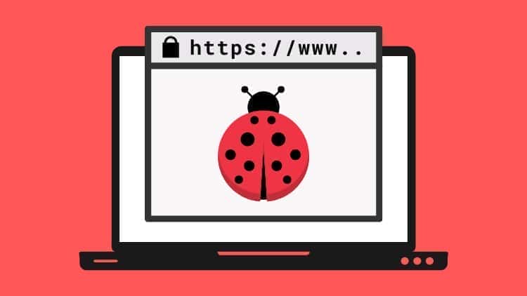 آموزش Bug Bounty Hunting و تست امنیت وب را از ابتدا یاد بگیرید