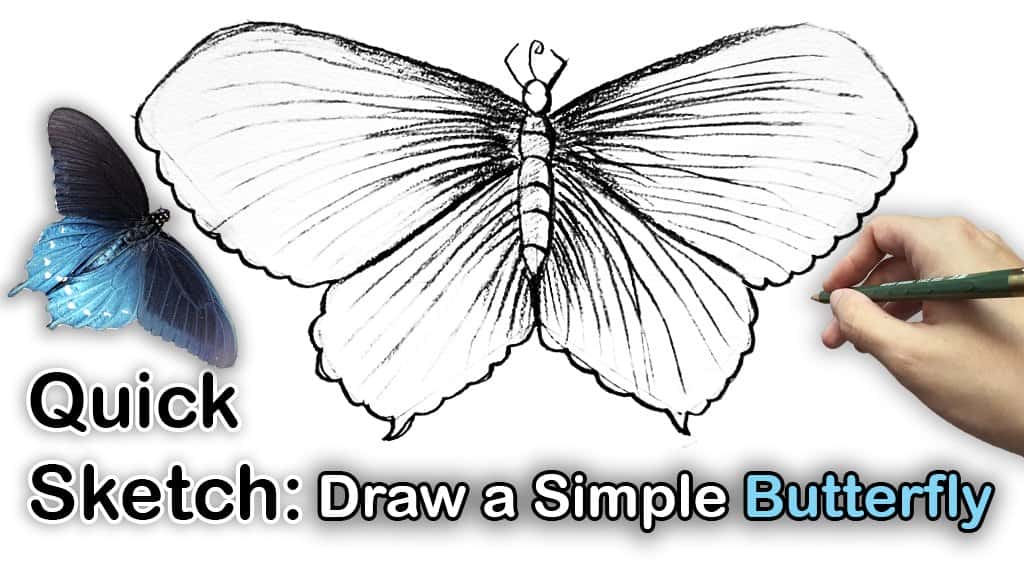 طرح سریع: آموزش کشیدن یک پروانه ساده - دوستانه مبتدیان - قسمت 1