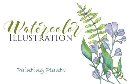 آموزش تصویرسازی آبرنگ- گیاهان نقاشی