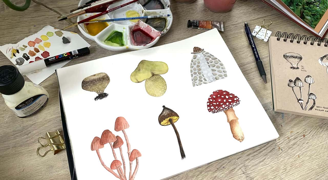 آموزش قارچ های آبرنگ: بافت ها، رنگ ها و ترکیب را کاوش کنید