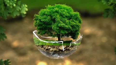 آموزش محیط زیست و اخلاق: یک درس پایه 
