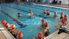 آموزش شنا اصول شنای آزاد را یاد بگیرید 