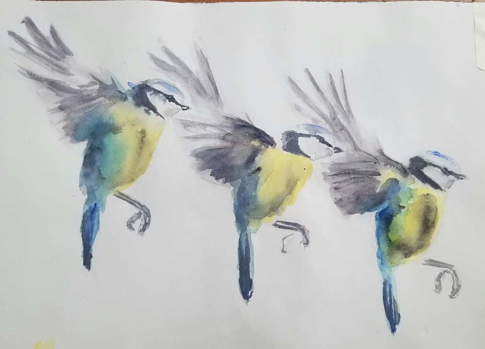 آموزش نحوه نقاشی پرندگان ساده با آبرنگ