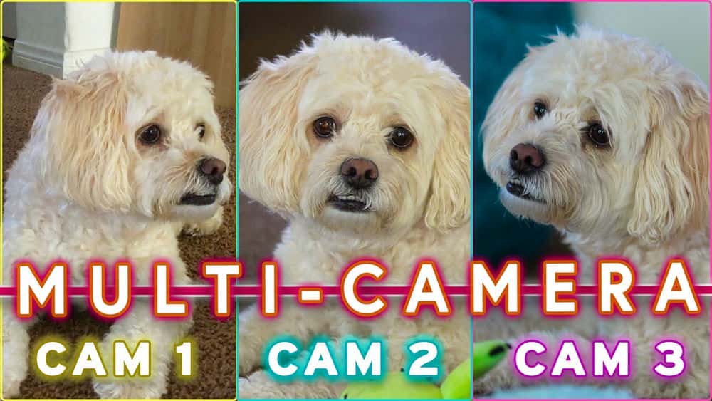 آموزش با استفاده از Multicam چند دوربین را به راحتی در Adobe Premiere Pro ویرایش کنید!