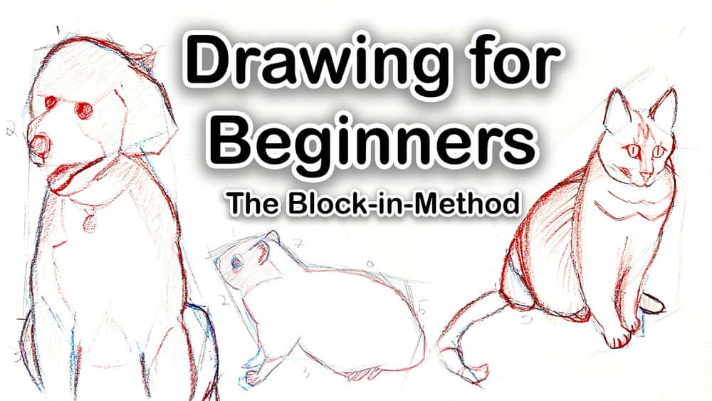 آموزش طراحی حیوانات برای مبتدیان - از روش Block-in-متد برای طراحی استفاده کنید