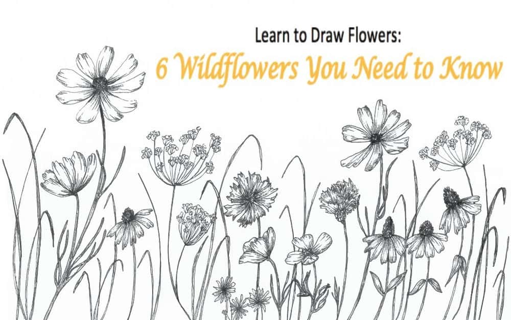 آموزش کشیدن گل: 6 گل وحشی که باید بشناسید
