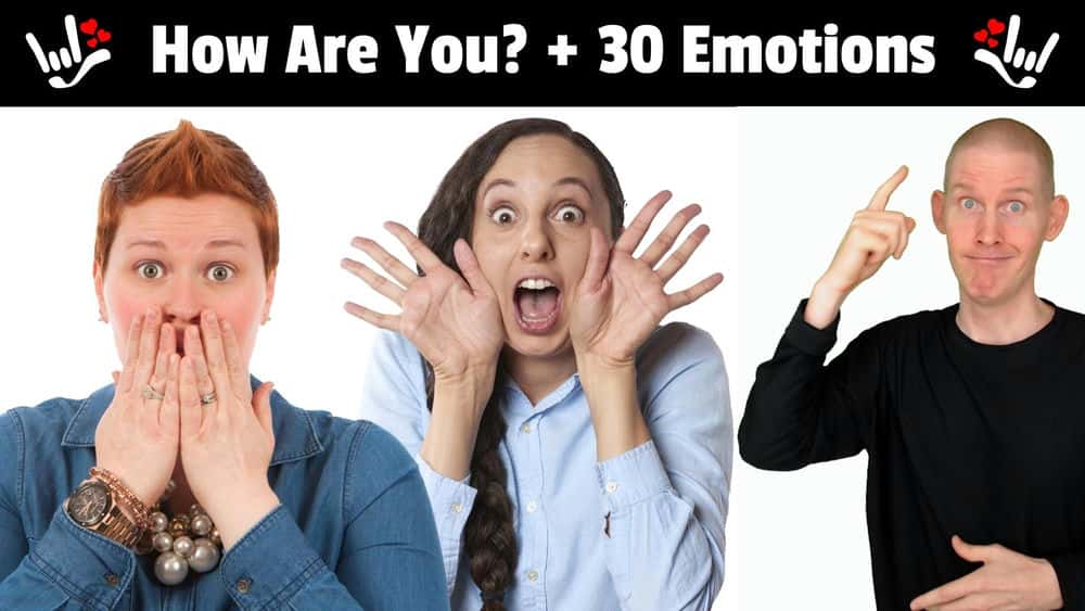 آموزش ASL | چطور هستید؟ + 30 احساس | زبان اشاره آمریکایی