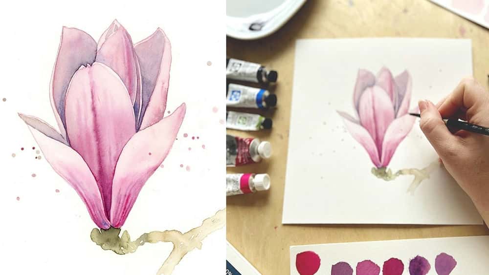 آموزش مقدمه ای بر آبرنگ: نقاشی گل مگنولیا با استفاده از تکنیک های ساده