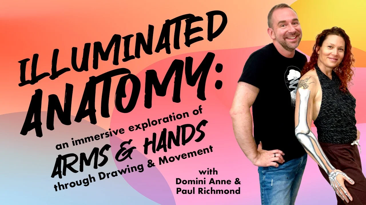 آموزش آناتومی روشن: اکتشاف همه جانبه بازوها و دست ها از طریق طراحی و حرکت