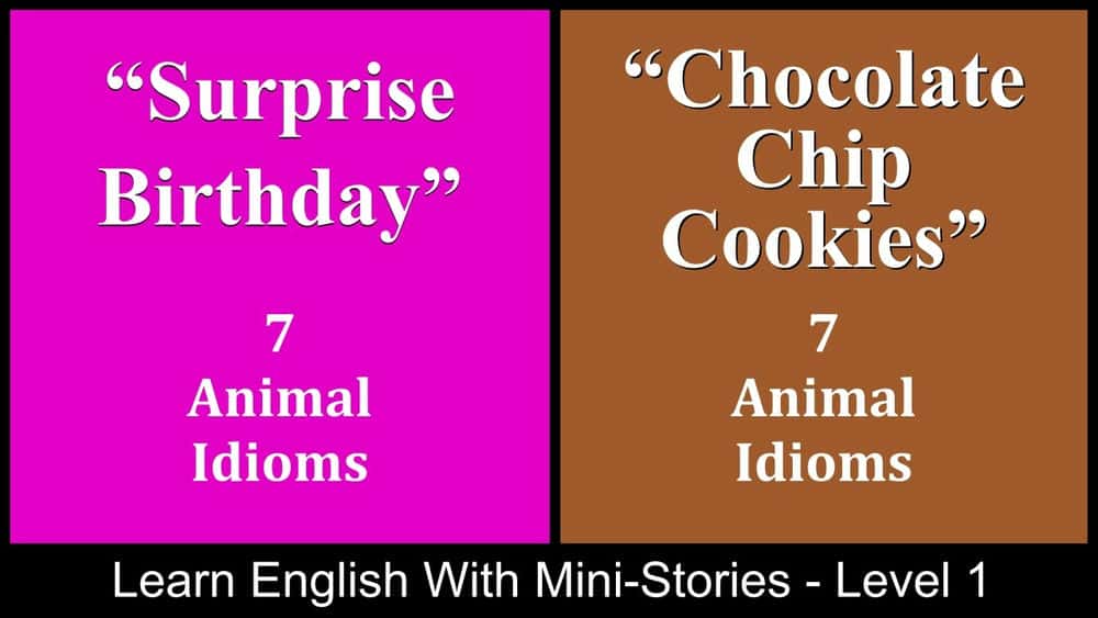 آموزش یادگیری زبان انگلیسی با داستان های کوچک - سطح 1 - "تولد شگفت انگیز"، "کوکی های چیپ شکلاتی"