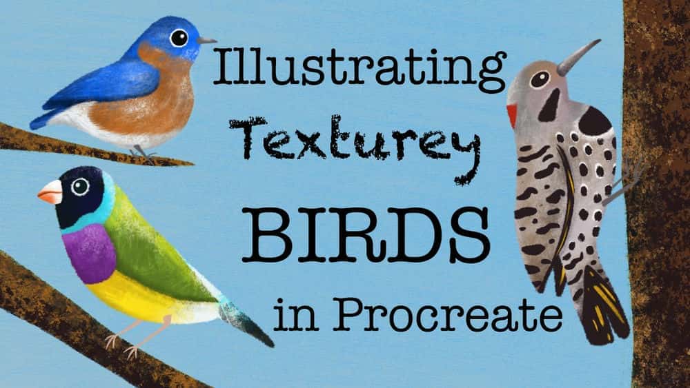 آموزش تصویرسازی پرندگان بافتی در Procreate