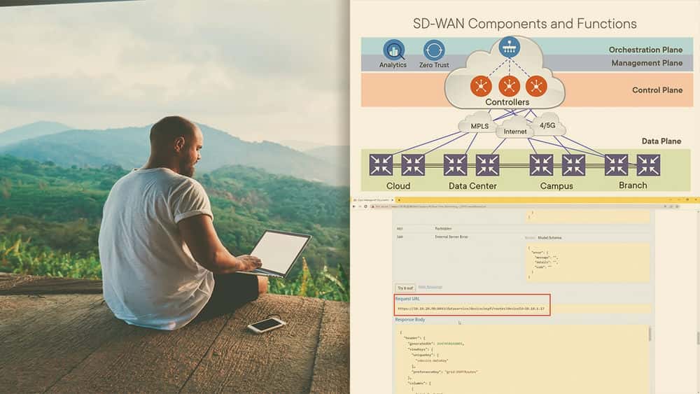آموزش مبانی SDN و SD-WAN: مقدمه ای بر SD-WAN 