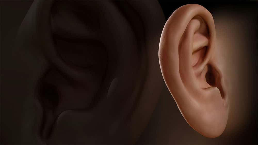 آموزش مجسمه سازی گوش انسان در ZBrush