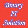 Binary IT Solution