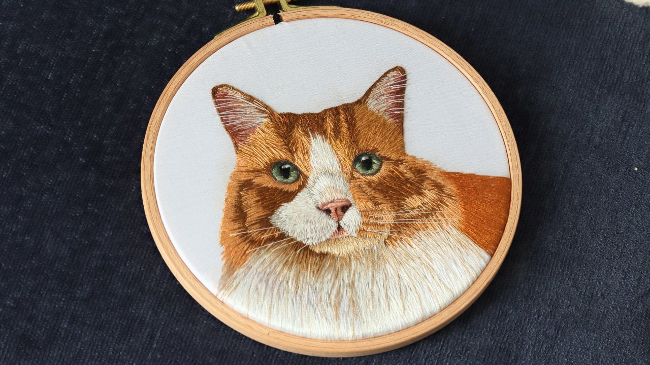 آموزش گلدوزی با دست: پرتره گربه

