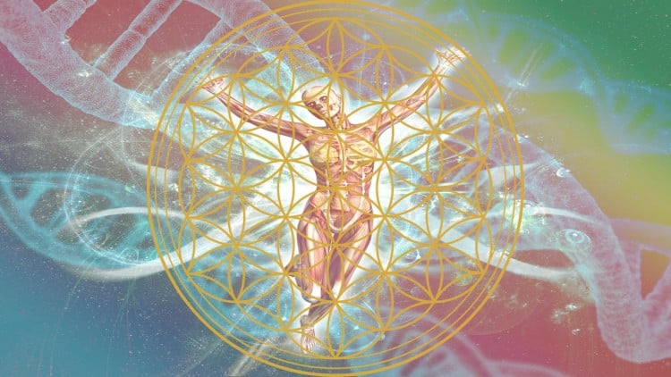 آموزش کدهای DNA، سلامت و ایمنی بدن شما را تقویت کنید!
