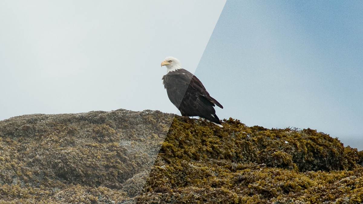 آموزش نکات سریع لایت روم