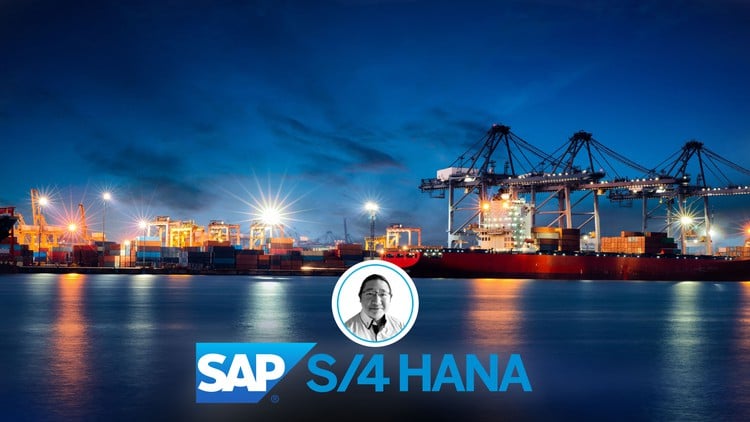 آموزش بهینه‌ساز مدیریت حمل‌ونقل SAP در S4 HANA
