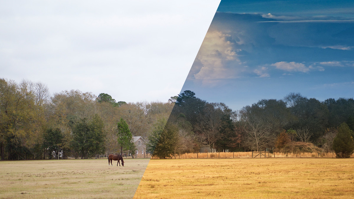 آموزش ضروری چراغ